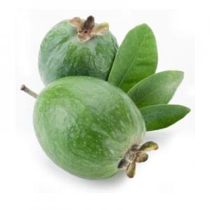 Feijoa